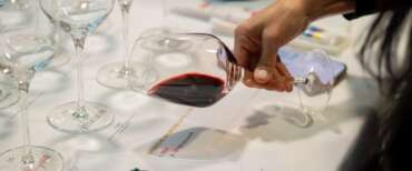 Vino, un calice su 5 bevuto nel mondo è tricolore. Lollobrigida: “Quelle bottiglie, i nostri gioielli”