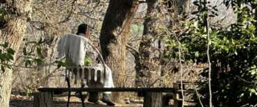 Famiglia nel bosco, il grido di dolore di mamma Catherine: “Non mi riconoscono più”