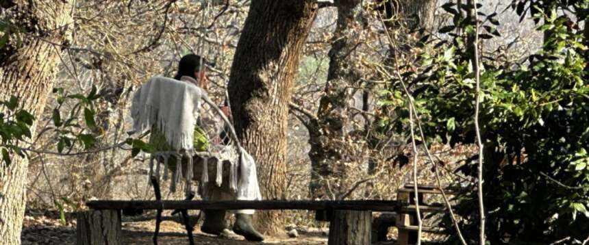 Famiglia nel bosco, il grido di dolore di mamma Catherine: “Non mi riconoscono più”