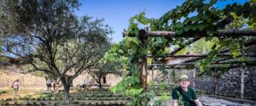 Pompei tra storia e agricoltura