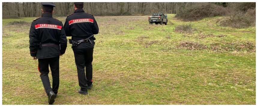 Dodicenne azzannata dal rottweiler, la perizia conferma: il cane fu incitato. La ragazzina insultata sui social