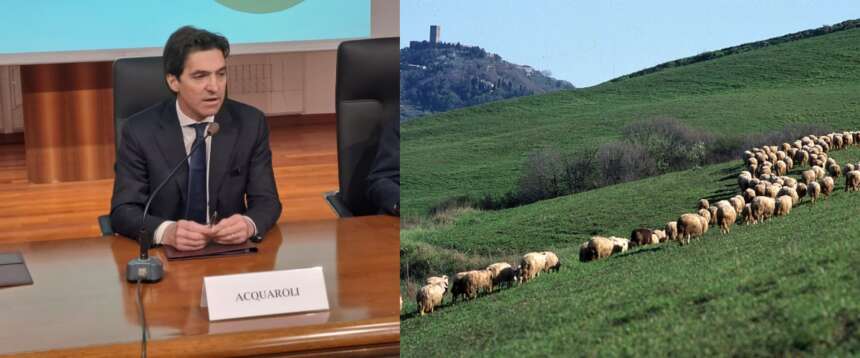 Marche, epidemia ovina “Blue tongue”: la giunta regionale stanzia 600mila euro in ristori per gli allevatori colpiti