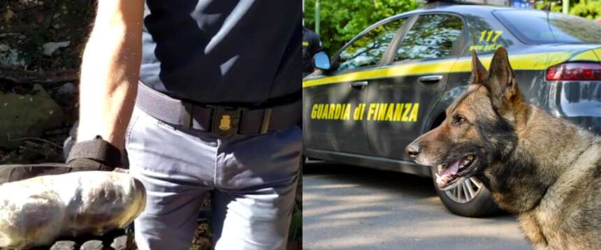 Maxi blitz delle forze dell’ordine nel “bosco della droga” di Rogoredo: 1000 i soggetti controllati