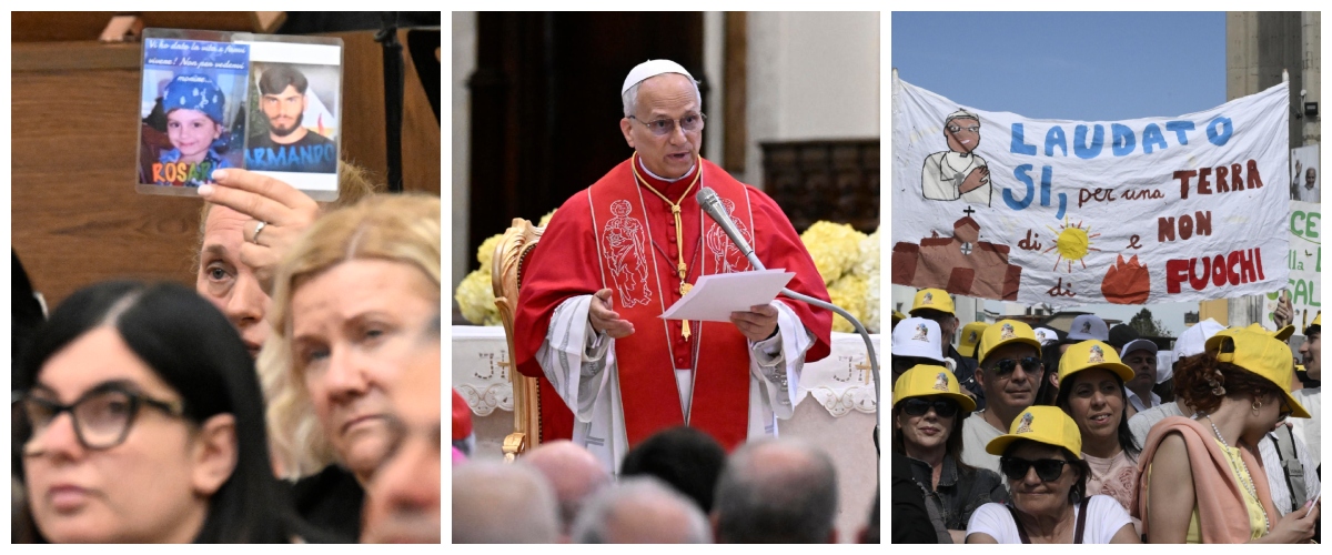 un leone nella terra dei fuochi son qui per raccogliere le vostre lacrime provocate da gente senza scrupoli da Secoloditalia.it un leone nella terra dei fuochi son qui per raccogliere le vostre lacrime provocate da gente senza scrupoli