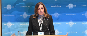 Rauti Artico