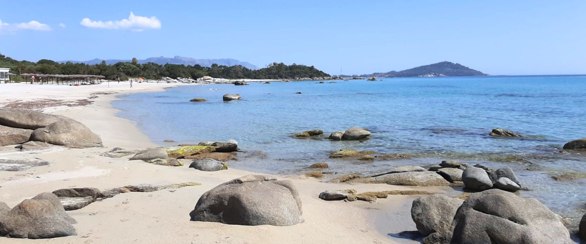 l8217italia batte bandiera blu su 525 spiagge musumeci un risultato importante ecco quali sono da Secoloditalia.it l8217italia batte bandiera blu su 525 spiagge musumeci un risultato importante ecco quali sono