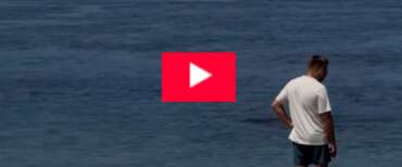 Turista americano prende a sassate una foca hawaiana: “La multa non mi interessa, sono ricco”