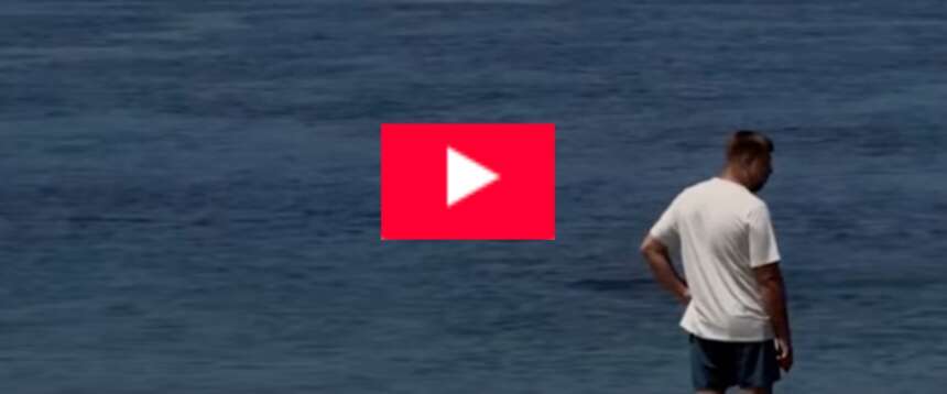 Turista americano prende a sassate una foca hawaiana: “La multa non mi interessa, sono ricco”