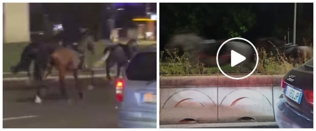 cavalli della parata del 2 giugno in fuga per le strade di roma il caos scatenato da alcuni petardi video da Secoloditalia.it cavalli della parata del 2 giugno in fuga per le strade di roma il caos scatenato da alcuni petardi video