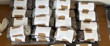 Coalizione europea anti-droghe, al via misure congiunte contro il narcotraffico e le rotte marittime