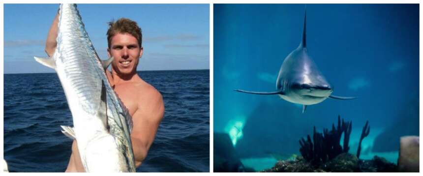 Sub italiano divorato da uno squalo durante una battuta di pesca in Australia