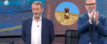 Scoppia la guerra dei lupi a sinistra: salvarli o limitarli? A Michele Serra sbranano il cagnolino, lite con gli animalisti