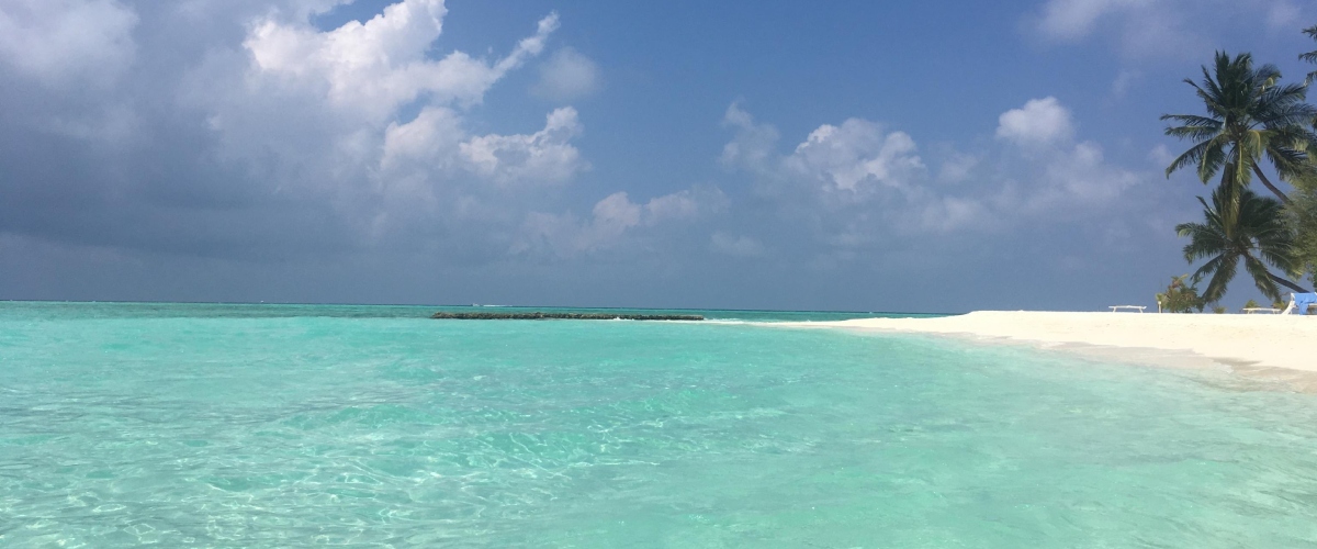 maldive trovati i corpi dei quattro sub italiani nella grotta di alimath224 domani il recupero da Secoloditalia.it maldive trovati i corpi dei quattro sub italiani nella grotta di alimath224 domani il recupero
