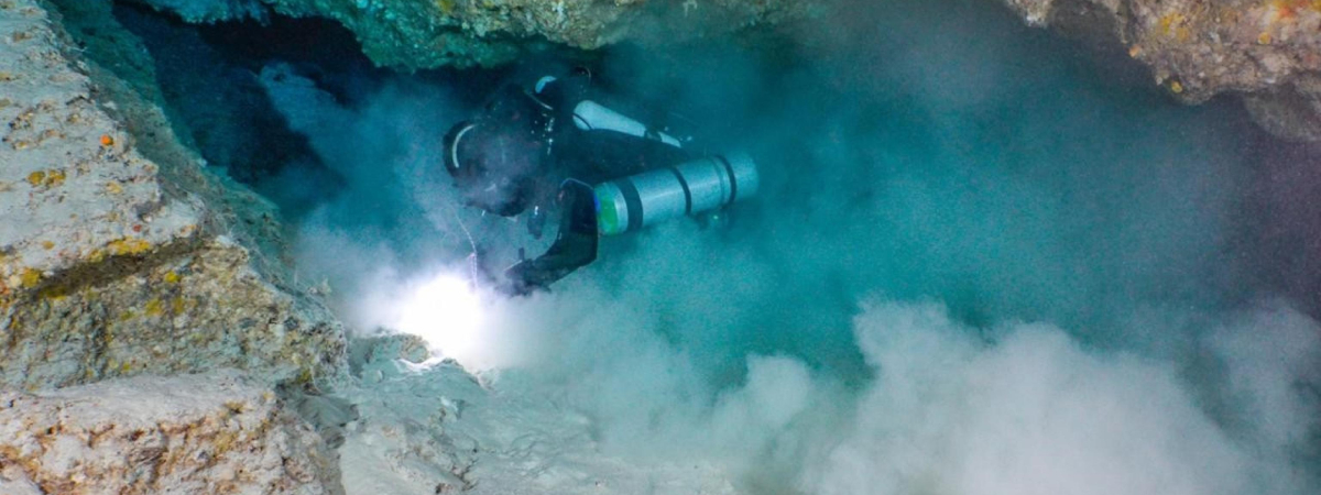 maldive le prime immagini della grotta degli squali dove sono morti i 5 sub la visibilit224 scompare subito da Secoloditalia.it maldive le prime immagini della grotta degli squali dove sono morti i 5 sub la visibilit224 scompare subito