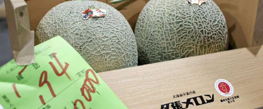 I frutti più cari del mondo: in Giappone due meloni pregiati battuti all’asta per oltre 31mila euro