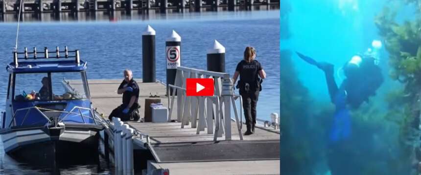Attacco fatale di uno squalo a un sub 35enne in Australia