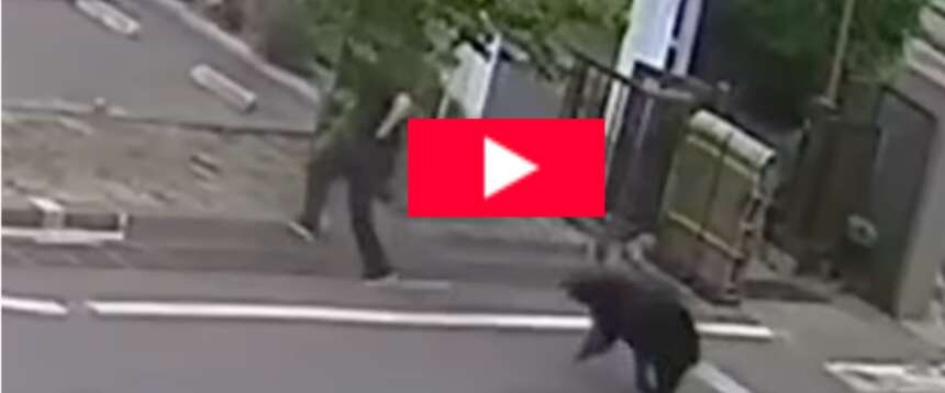 Giappone, orso aggredisce un operaio e ferisce altre 4 persone: stato di emergenza e scuole chiuse (video)