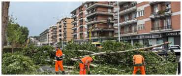 Tromba d’aria su Roma: mercato di Prati Fiscali distrutto. Da FdI e Lega l’affondo contro Gualtieri