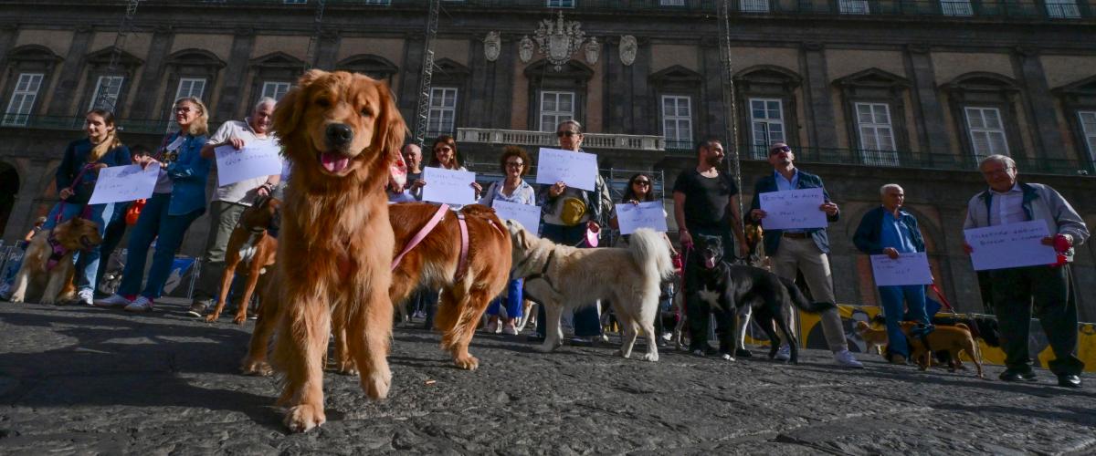 pi249 cucce che culle la provocazione di un sindaco e il grande tema della natalit224 italiana da Secoloditalia.it pi249 cucce che culle la provocazione di un sindaco e il grande tema della natalit224 italiana