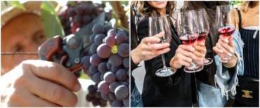 Decanter 2026, sei vini italiani nella top 50: il Made in Italy trionfa anche nella classifica delle bottiglie sotto i 15 euro