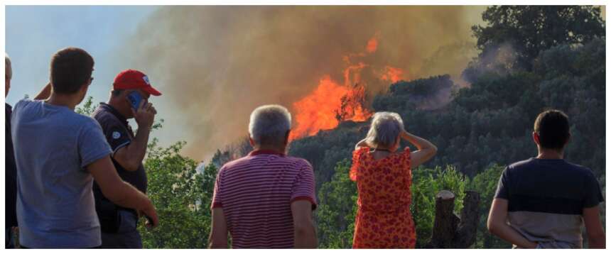 La ‘Ndrangheta organizza gli incendi in Calabria: ipotesi di gatti bruciati per distruggere i terreni. La Regione denuncia