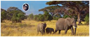 Tragedia in Kenya: una turista italiana muore in un incidente stradale, marito e figlio ricoverati in ospedale