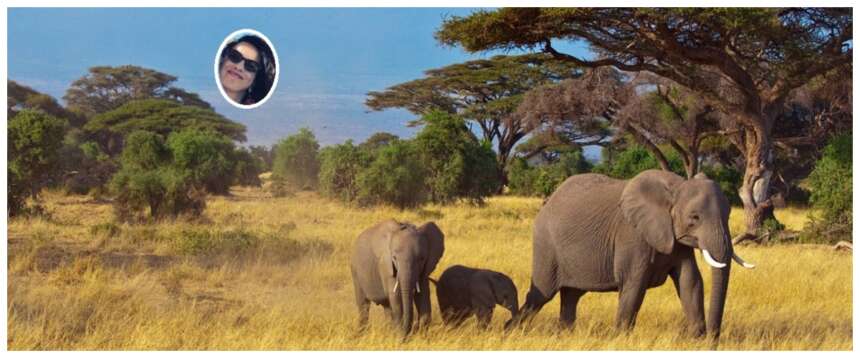 Tragedia in Kenya: una turista italiana muore in un incidente stradale, marito e figlio ricoverati in ospedale
