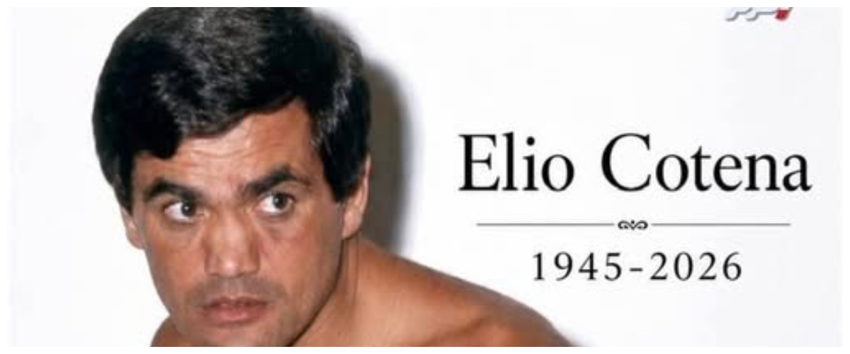 addio a elio cotena il gentiluomo napoletano con la faccia da pugni che ha cambiato la boxe italiana da Secoloditalia.it addio a elio cotena il gentiluomo napoletano con la faccia da pugni che ha cambiato la boxe italiana