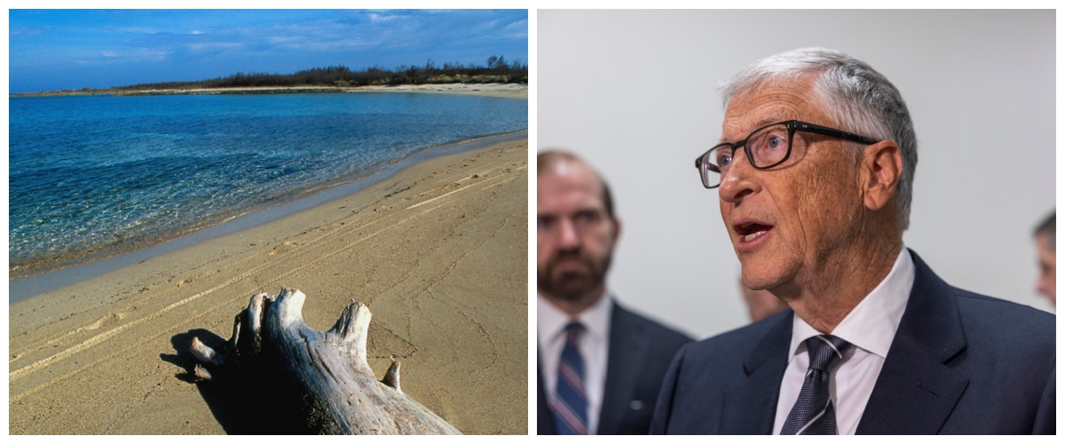 il bill gates resort manda in crisi la sinistra in puglia il mega hotel di lusso da 150 camere devastante per l8217ambiente da Secoloditalia.it il bill gates resort manda in crisi la sinistra in puglia il mega hotel di lusso da 150 camere devastante per l8217ambiente