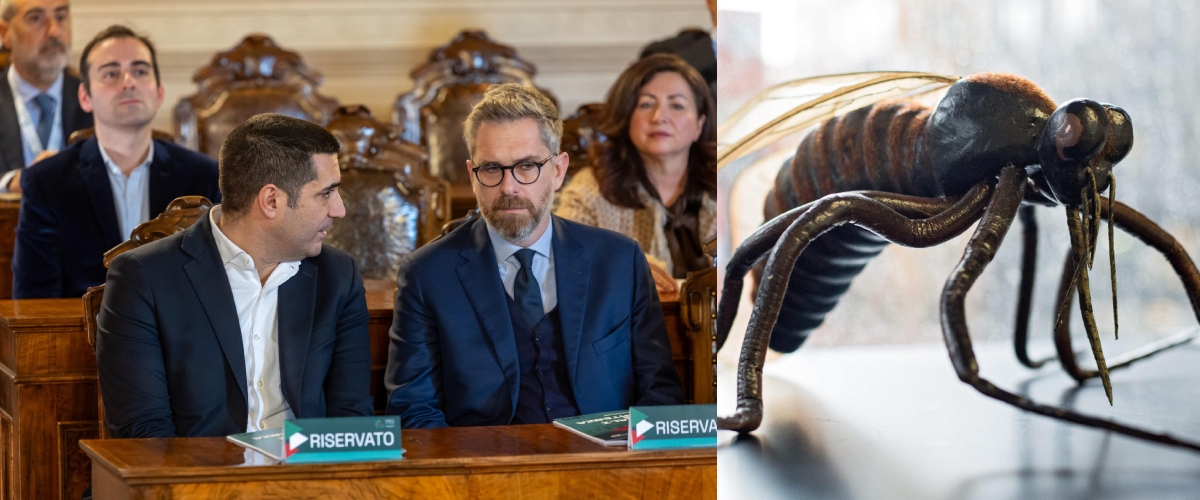 Lepore e De Pascale perdono la guerra con le zanzare: West Nile a Bologna e in altre 5 province, possibili malattie gravi
