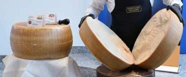 Parmigiano al top negli Usa mentre l’Irlanda frena sui dazi e le etichette choc contro il vino