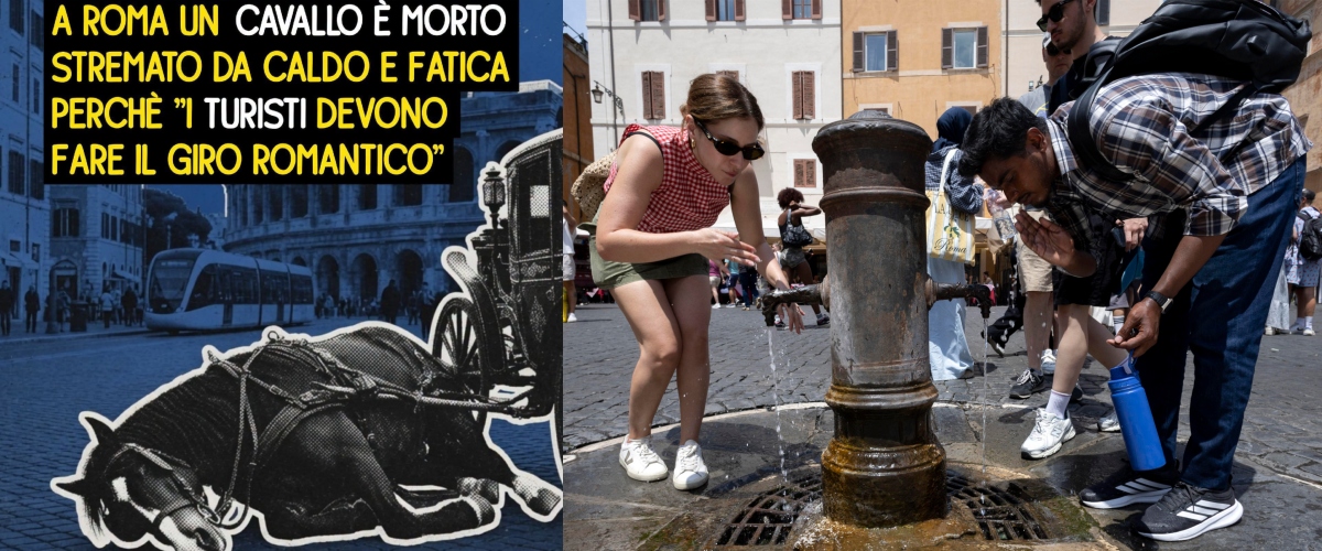 Un cavallo muore stremato dal caldo sull’asfalto di Roma, botticelle sotto accusa. L’ira dei social: “Questa non è civiltà”