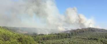 Incendi domati nel Gargano: strutture messe in sicurezza, nessun danno a persone e abitazioni