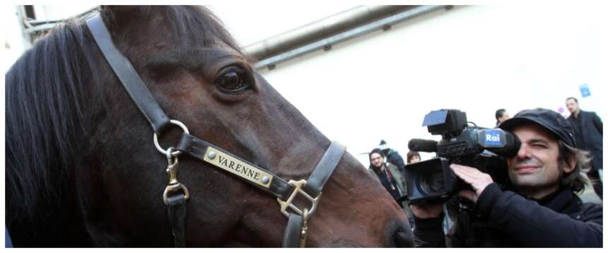 Muore “Il capitano”, addio a Varenne, il più grande trottare di tutti i tempi: una leggenda chiamata cavallo