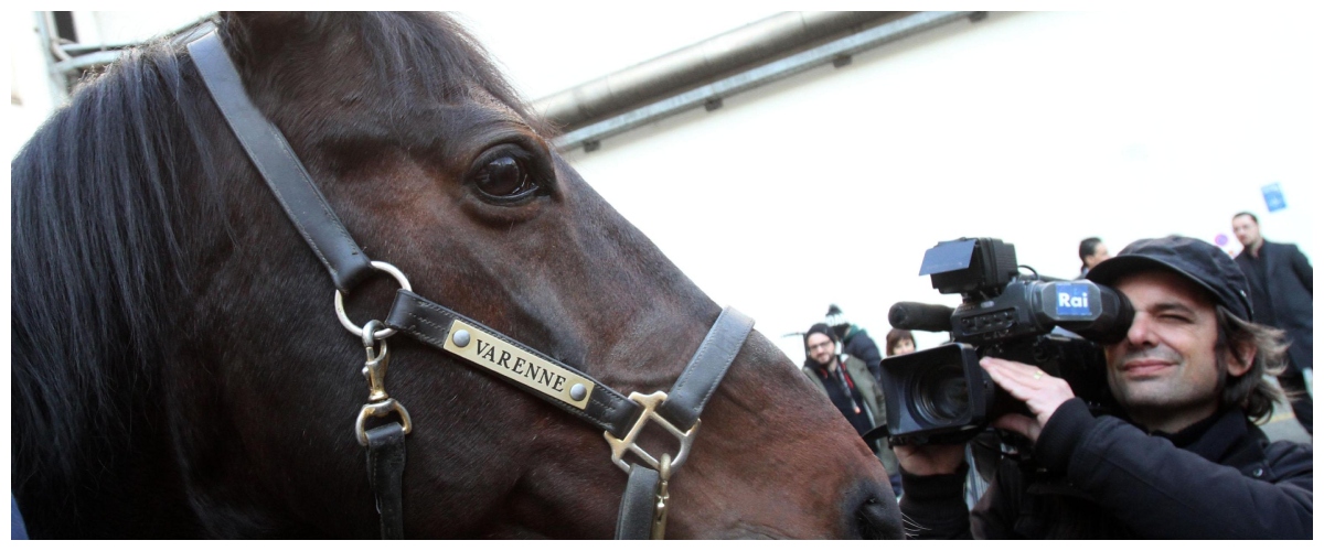 muore il capitano addio a varenne il pi249 grande trottare di tutti i tempi una leggenda chiamata cavallo da Secoloditalia.it muore il capitano addio a varenne il pi249 grande trottare di tutti i tempi una leggenda chiamata cavallo