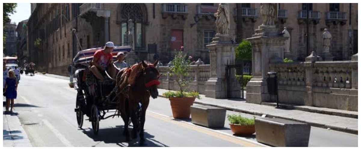 troppo caldo a palermo anche i cavalli delle carrozze si prendono un giorno di ferie per l8217afa record da Secoloditalia.it troppo caldo a palermo anche i cavalli delle carrozze si prendono un giorno di ferie per l8217afa record
