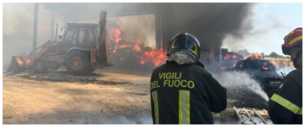 l8217estate rovente e la lotta contro roghi e nubifragi lo sforzo totale dei vigili del fuoco e l8217arrivo dei nuovi rinforzi da Secoloditalia.it l8217estate rovente e la lotta contro roghi e nubifragi lo sforzo totale dei vigili del fuoco e l8217arrivo dei nuovi rinforzi