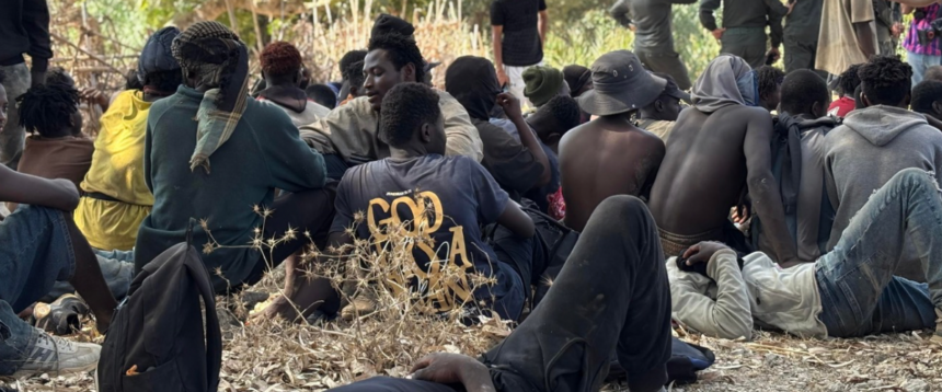 Migranti, otto lettori su dieci presentano il conto alle Ong: “Gli sbarchi se li prendano i Paesi di bandiera”
