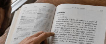 Treccani femminicidio maranza
