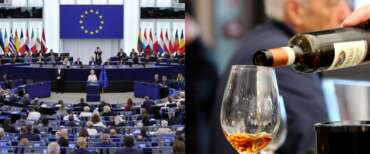 Il nuovo nemico della sinistra è nel bicchiere: euro-crociata contro il vino. Torna la stretta su etichette e pubblicità
