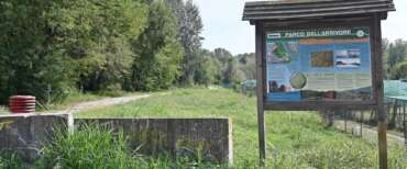 Torino, violentato a 12 anni nel parco: fermato un ventenne. Lo avrebbe adescato con un giro in monopattino e un dolcetto