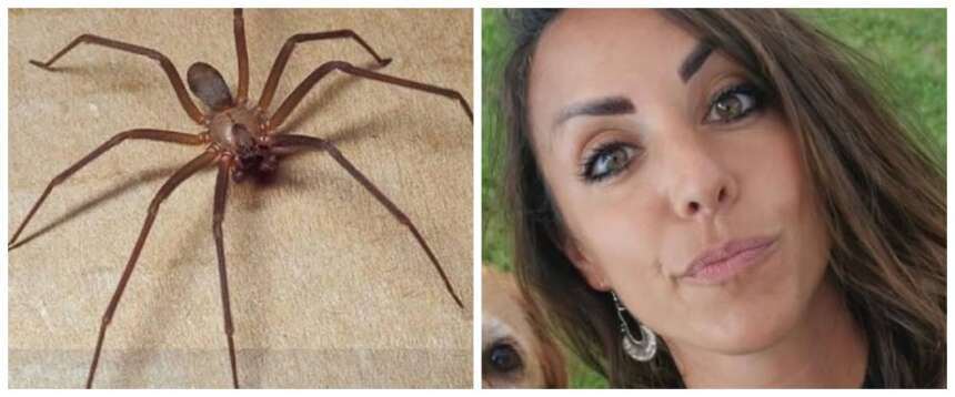 Sabrina Gigliotti uccisa dal ragno violino o dalla malasanità? Scatta l’inchiesta. I parenti: “Vogliamo giustizia”