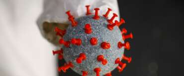 Clamoroso in commissione Covid: il professor Giorgio Palù smonta i dogmi su campagna vaccinale e lockdown