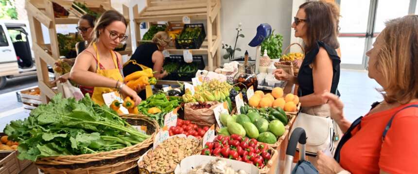 Minecraft entra nelle scuole: con Coldiretti i più giovani imparano a mangiare sano giocando ai videogiochi
