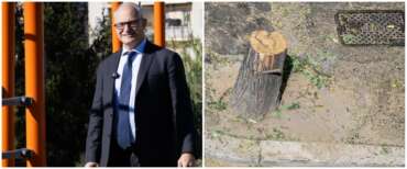 Gualtieri mani di forbice: quasi 30mila alberi persi in 5 anni. FdI porta il caso in Procura