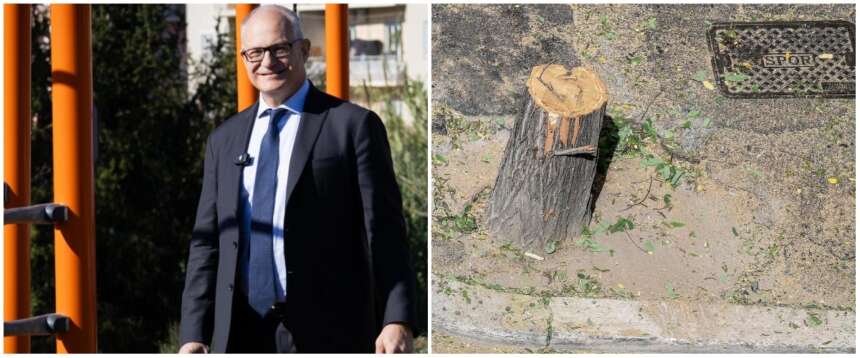 Gualtieri mani di forbice: quasi 30mila alberi persi in 5 anni. FdI porta il caso in Procura