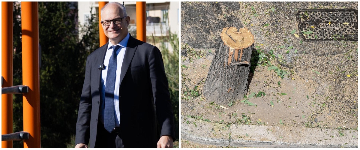 gualtieri mani di forbice quasi 30mila alberi persi in 5 anni fdi porta il caso in procura da Secoloditalia.it gualtieri mani di forbice quasi 30mila alberi persi in 5 anni fdi porta il caso in procura