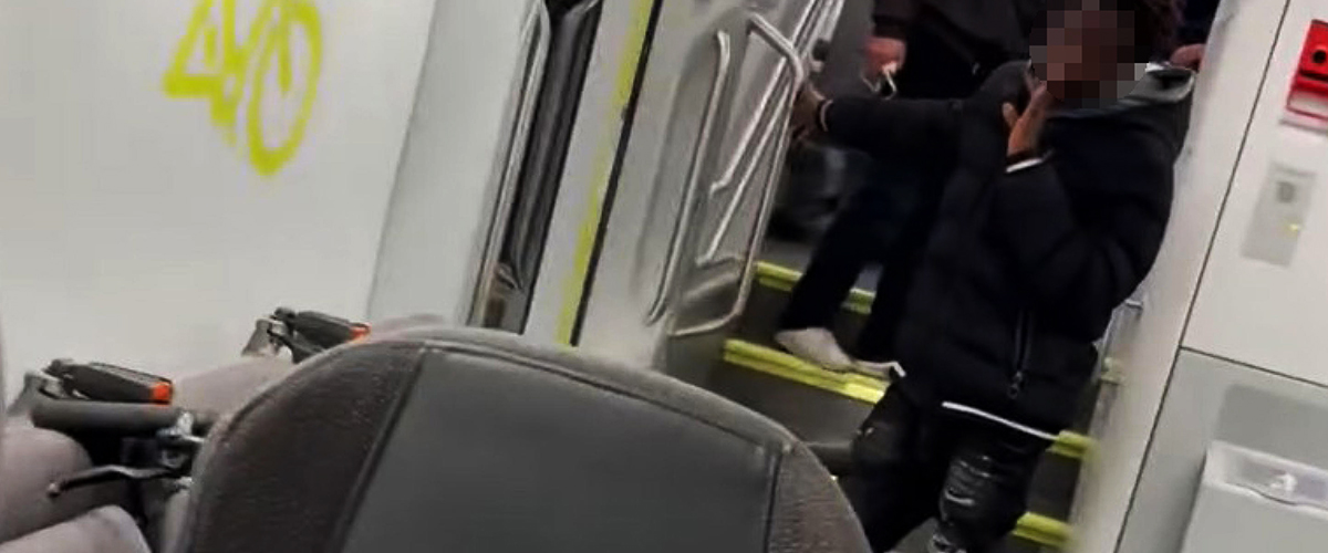 immigrato si lancia su una ragazza che dorme in treno e la bacia sulle labbra denunciato per violenza sessuale da Secoloditalia.it immigrato si lancia su una ragazza che dorme in treno e la bacia sulle labbra denunciato per violenza sessuale