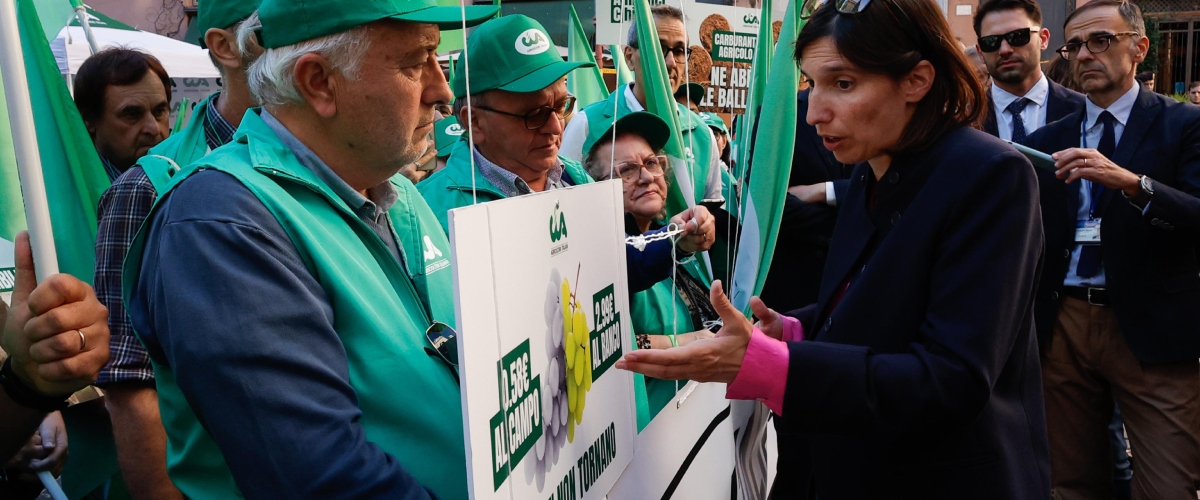 elly scendi dal trattore bignami smaschera schlein lei in piazza con gli agricoltori la sinistra li ha sempre affamati da Secoloditalia.it elly scendi dal trattore bignami smaschera schlein lei in piazza con gli agricoltori la sinistra li ha sempre affamati