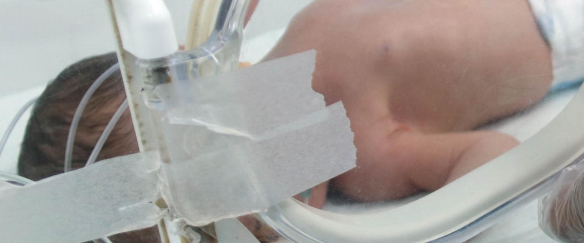 giallo a treviso bimbo di un anno muore per arresto cardiaco indagata la baby sitter di 22 anni da Secoloditalia.it giallo a treviso bimbo di un anno muore per arresto cardiaco indagata la baby sitter di 22 anni